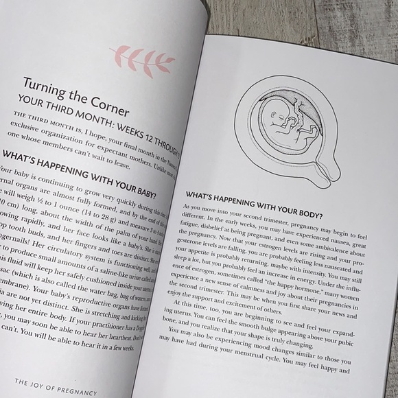 The Joy of Pregnancy guide book by Tori Kropp R.N. - Picture 9 of 12